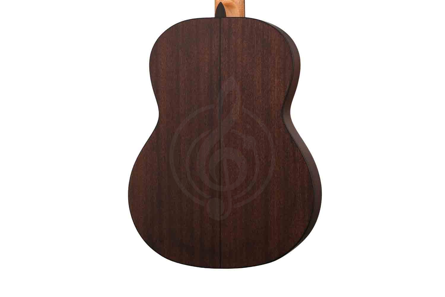 Классическая гитара 4/4 Martinez MM2 - Классическая гитара, MARTINEZ MM2 в магазине Доминанта мьюзик - фото 3