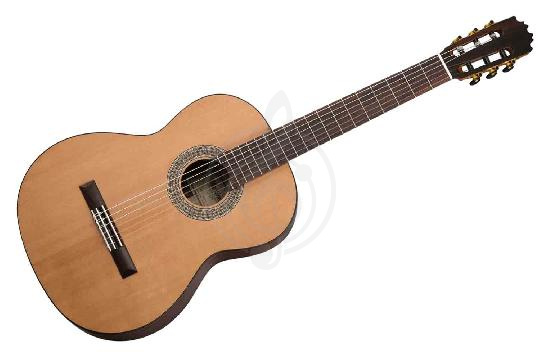 Изображение Martinez MM2 - Классическая гитара