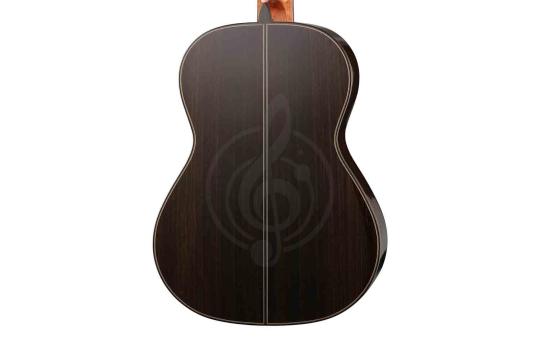 Классическая гитара 4/4 Martinez Monaco-S - Классическая гитара, MARTINEZ Monaco-S в магазине Доминанта мьюзик - фото 6