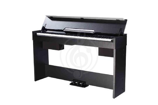 Изображение Medeli CDP5000-BK - Цифровое пианино компактное