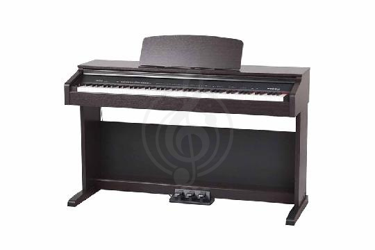 Изображение Medeli DP250RB-BK