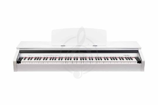 Цифровое пианино Medeli DP250RB-PVC-WH - Цифровое пианино, Medeli DP250RB-PVC-WH в магазине Доминанта мьюзик - фото 1
