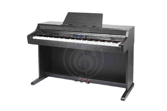 Изображение Medeli DP370-BK