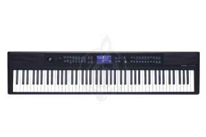 Изображение Medeli SP-A500