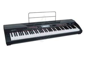 Изображение Medeli SP4200-BK