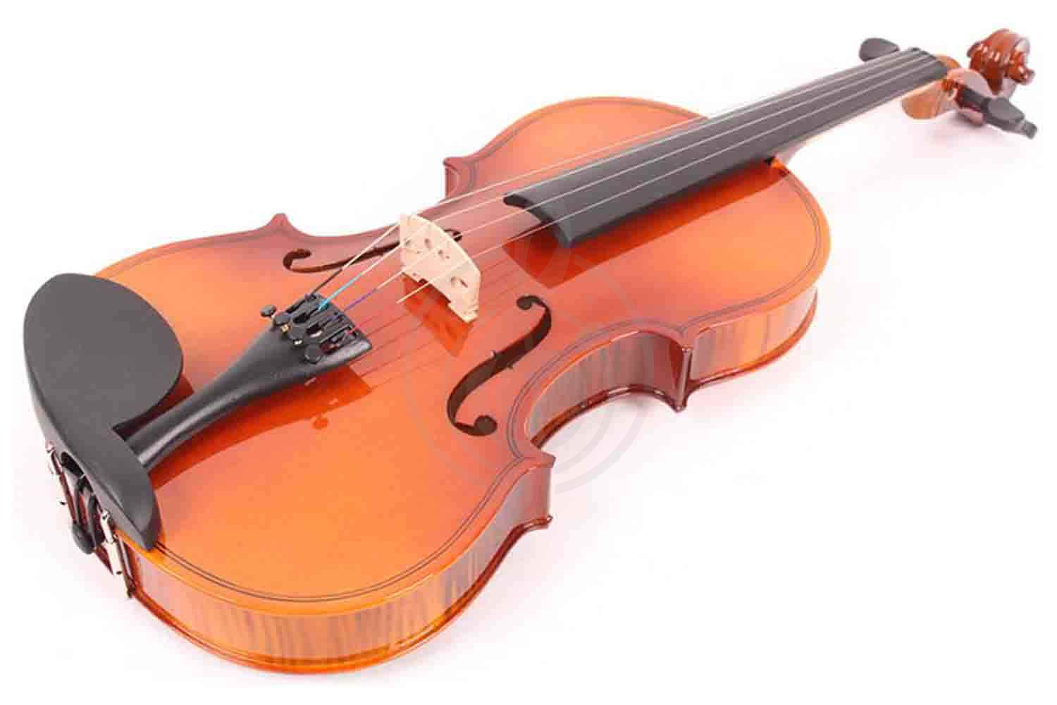 Скрипка 1/2 Mirra VB-290-1/2 - Скрипка 1/2, в футляре со смычком, Mirra VB-290-1/2 в магазине DominantaMusic - фото 1