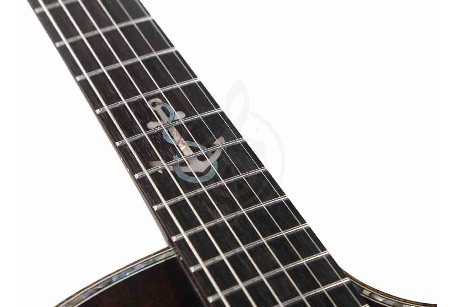MOLLO GAC-02 - Акустическая гитара - фото 15 Акустическая гитара MOLLO GAC-02 - Акустическая гитара,  GAC-02 в магазине DominantaMusic - фото 15