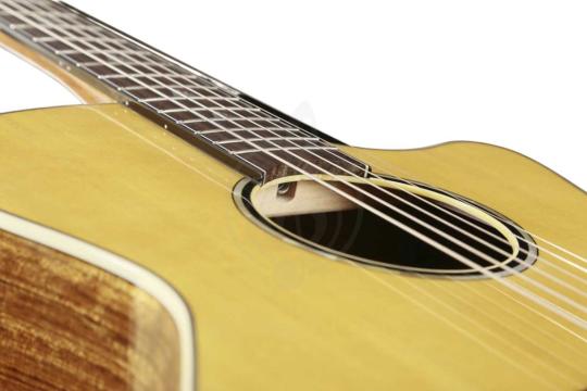 Акустическая гитара MOLLO GAC-10 VT - Гитара акустическая, Mollo Guitar GAC-10 VT в магазине DominantaMusic - фото 2