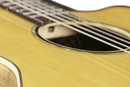 Акустическая гитара MOLLO GAC-10 VT - Гитара акустическая, Mollo Guitar GAC-10 VT в магазине DominantaMusic - фото 9