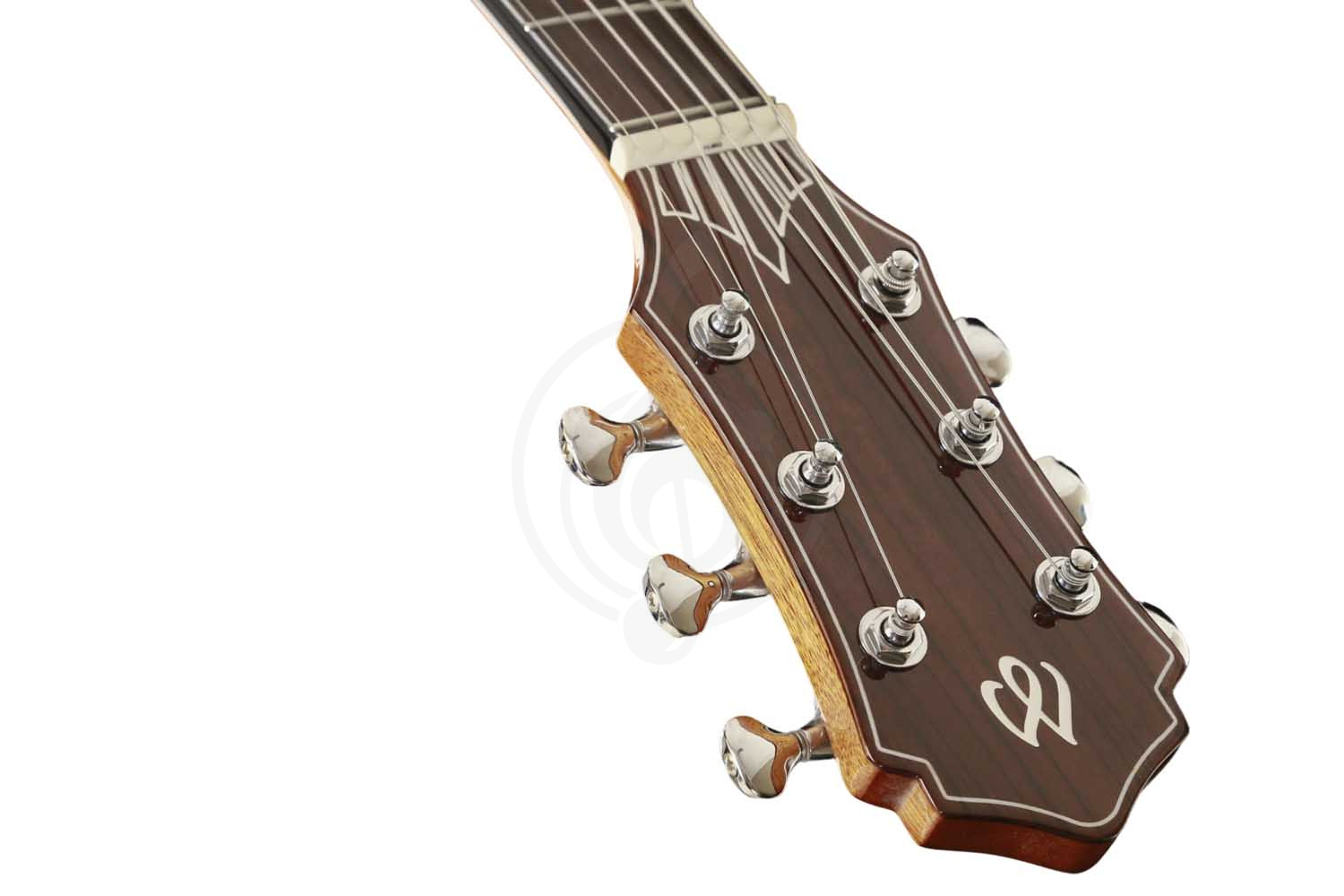 Акустическая гитара MOLLO GAC-10 VT - Гитара акустическая, Mollo Guitar GAC-10 VT в магазине DominantaMusic - фото 8