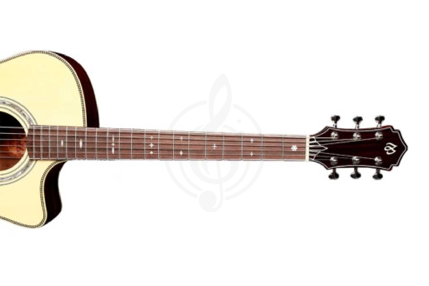 MOLLO GAC-30 NA - Гитара акустическая - фото 6 Акустическая гитара MOLLO GAC-30 NA - Гитара акустическая, Mollo Guitar GAC-30 NA в магазине DominantaMusic - фото 6