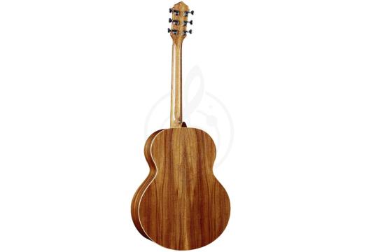 Акустическая гитара MOLLO MO-50 VS - Гитара акустическая, Mollo Guitar MO-50 VS в магазине DominantaMusic - фото 5