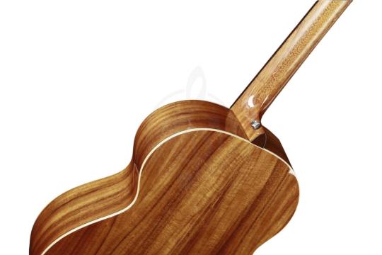 Акустическая гитара MOLLO MO-50 VS - Гитара акустическая, Mollo Guitar MO-50 VS в магазине DominantaMusic - фото 12