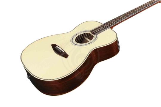 MOLLO OM-30NA - Акустическая гитара - фото 12 Акустическая гитара MOLLO OM-30NA - Акустическая гитара,  OM-30NA в магазине DominantaMusic - фото 12