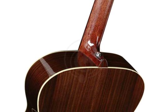 MOLLO OM-30NA - Акустическая гитара - фото 16 Акустическая гитара MOLLO OM-30NA - Акустическая гитара,  OM-30NA в магазине DominantaMusic - фото 16