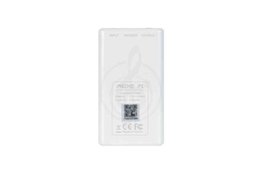 Процессор для электрогитары Mooer P1-Intelligent-Pedal-WH Prime P1 - Процессор эффектов, Mooer P1-Intelligent-Pedal-WH в магазине Доминанта мьюзик - фото 5