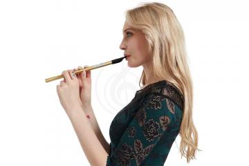 Вистл Naomi Irish Tin Whistle Aluminum D Gold - Тин Вистл Ре Алюминий,  Aluminum D Gold в магазине DominantaMusic - фото 2