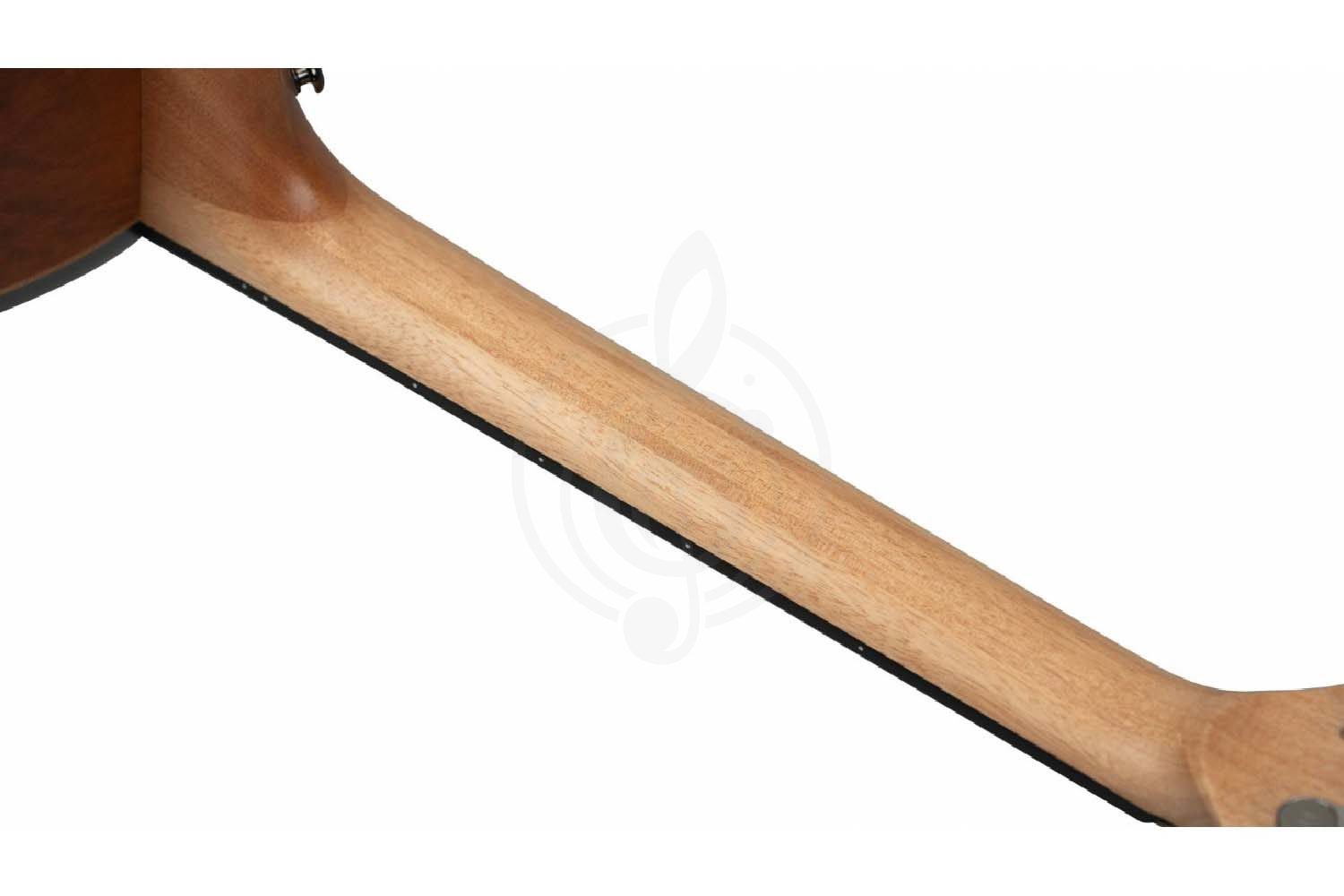 Акустическая гитара NATASHA Jupiter JC 41 - Гитара акустическая, NATASHA Jupiter JC 41 в магазине Доминанта мьюзик - фото 13