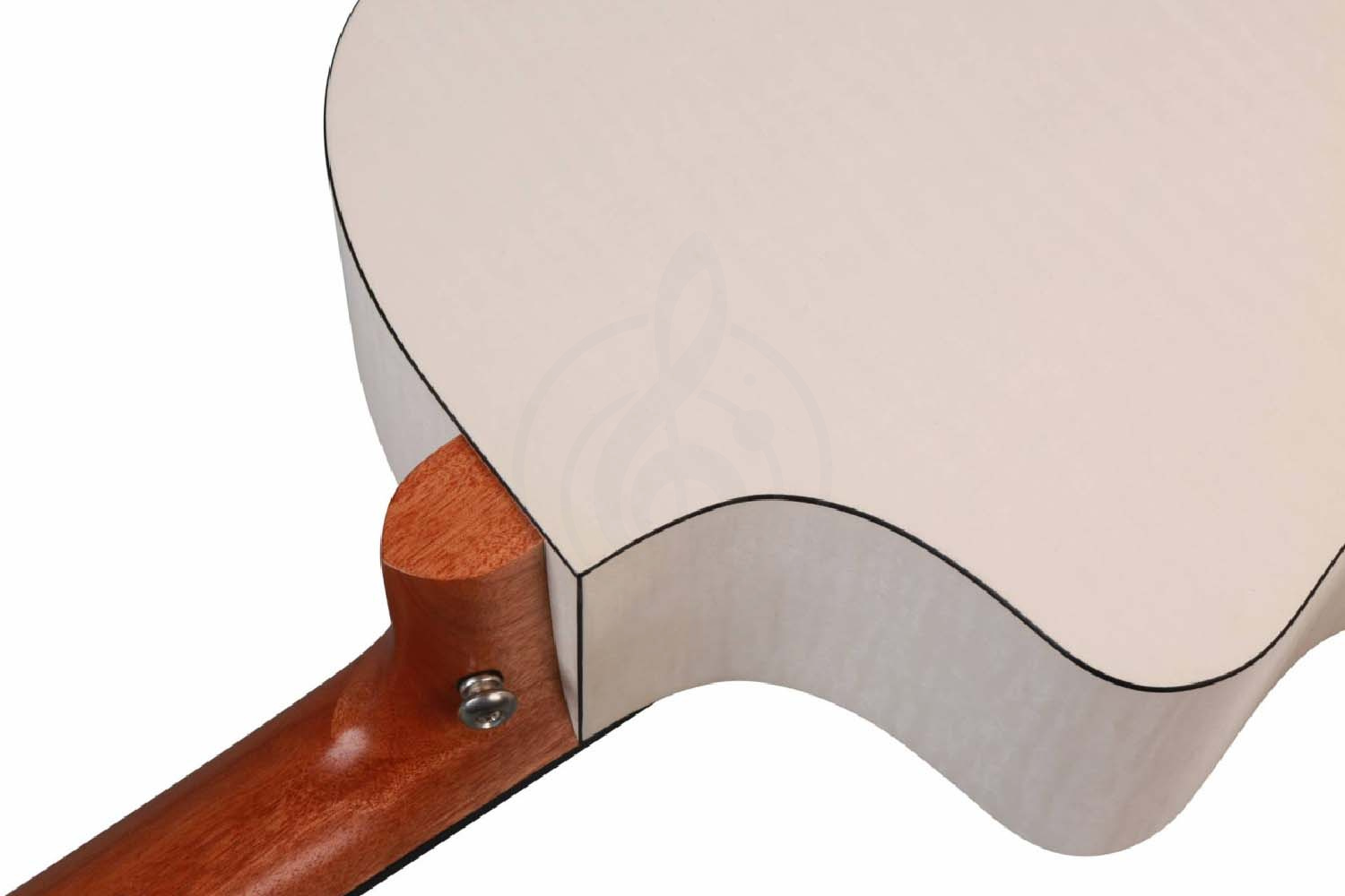 Акустическая гитара NATASHA Mercury JC 41 White - Гитара акустическая, NATASHA Mercury JC 41 White в магазине DominantaMusic - фото 4