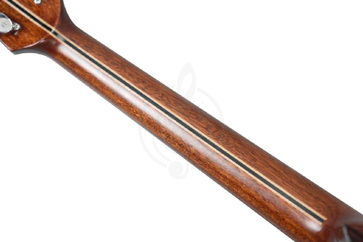 Акустическая гитара NATASHA Vitalis JC 41 Natural - Гитара акустическая, NATASHA Vitalis JC 41 Natural в магазине DominantaMusic - фото 