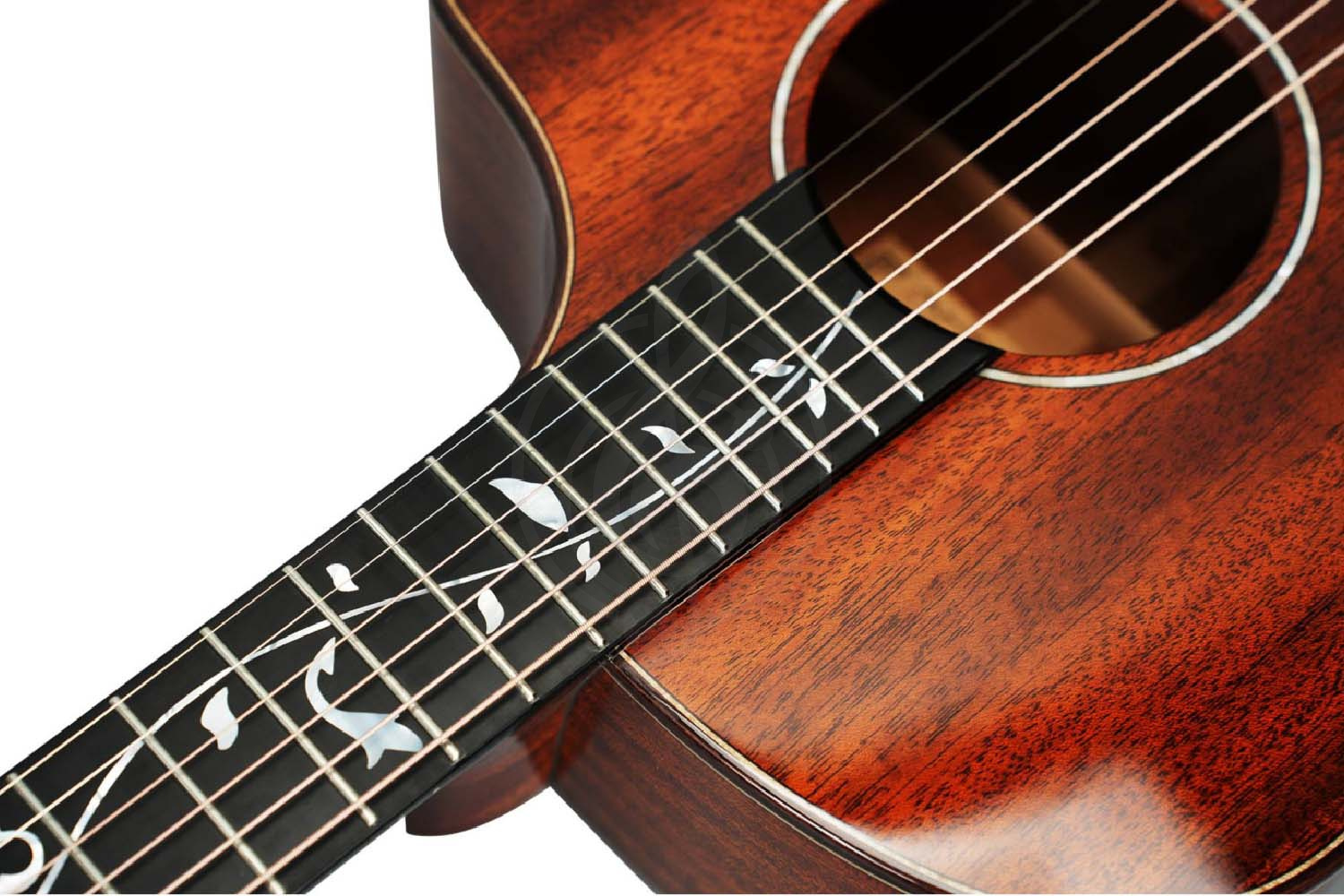 Акустическая гитара NATASHA Vitalis JC 41 Natural - Гитара акустическая, NATASHA Vitalis JC 41 Natural в магазине DominantaMusic - фото 