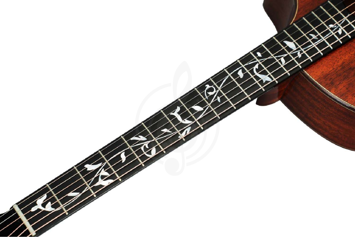 Акустическая гитара NATASHA Vitalis JC 41 Natural - Гитара акустическая, NATASHA Vitalis JC 41 Natural в магазине DominantaMusic - фото 