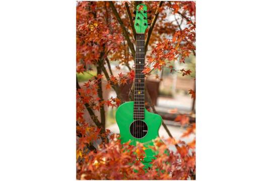 Акустическая гитара NEBULA Asteroid Mint Green - Акустическая гитара,  Asteroid Mint Green в магазине DominantaMusic - фото 2