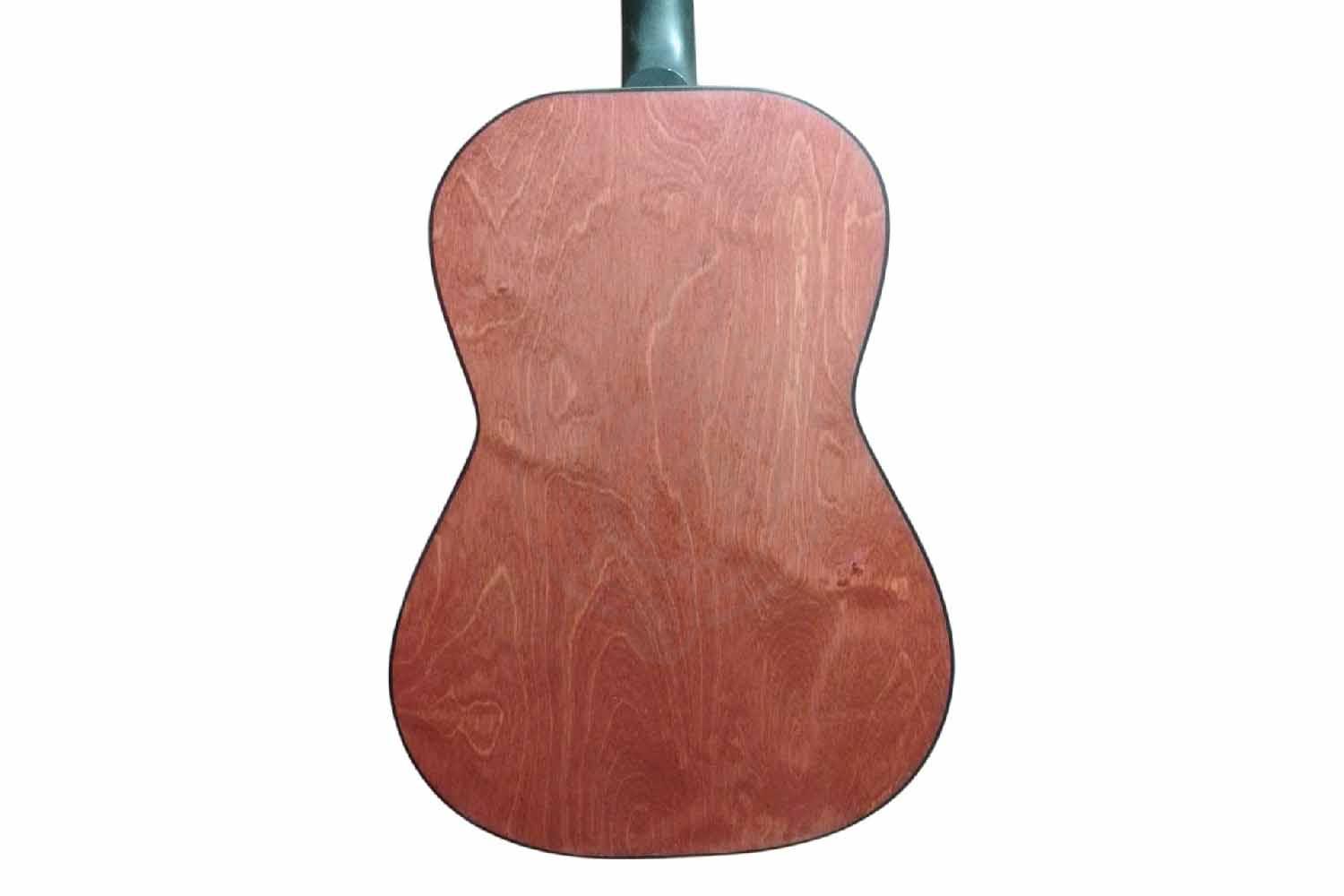 Акустическая гитара Niagara FL-39WR - Гитара акустическая, Niagara FL-39WR в магазине Доминанта мьюзик - фото 2