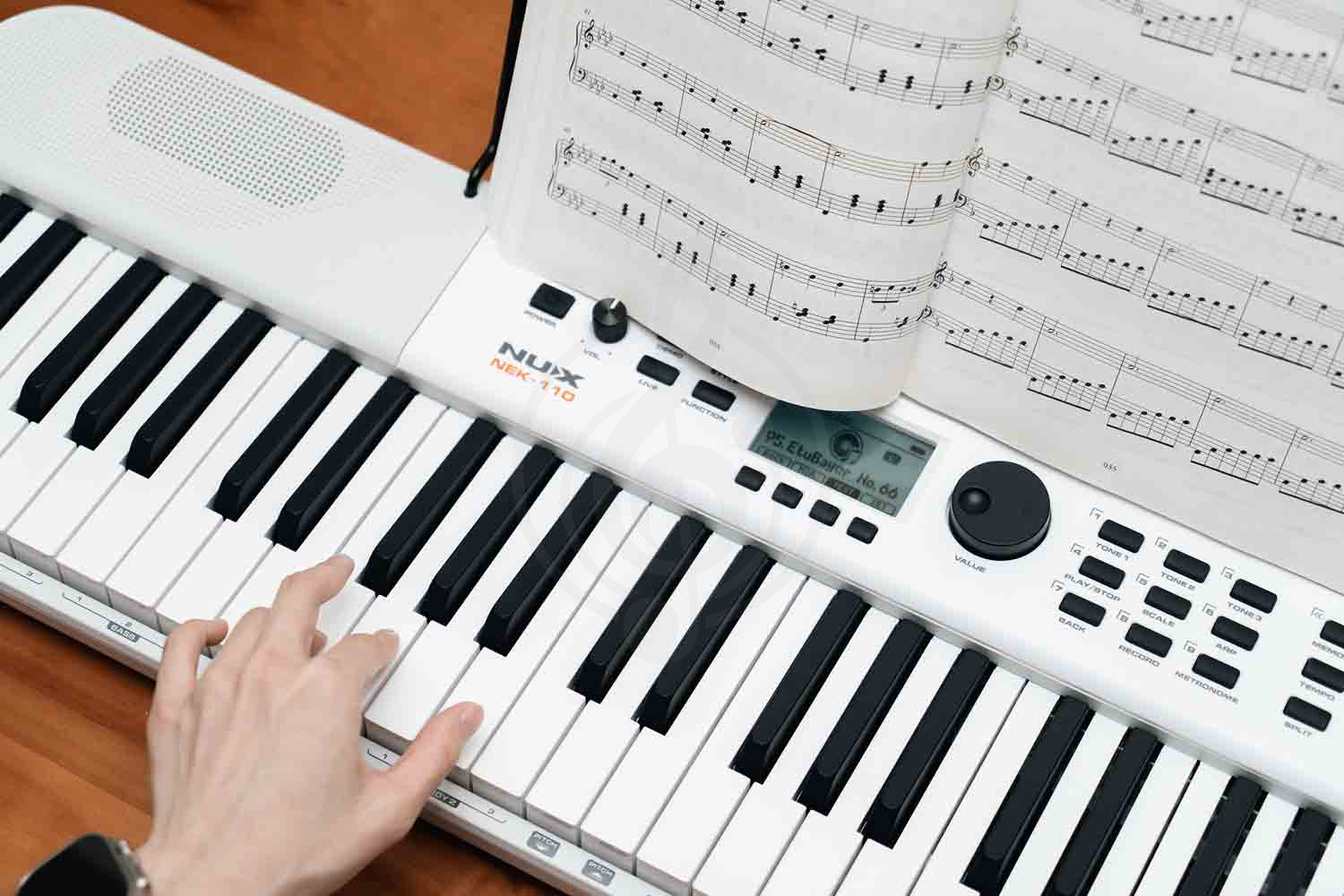 Nux NEK-110-WH - Синтезатор, 61 клавиша - фото 10 Домашний синтезатор Nux NEK-110-WH - Синтезатор, 61 клавиша, NEK-110-WH в магазине DominantaMusic - фото 10