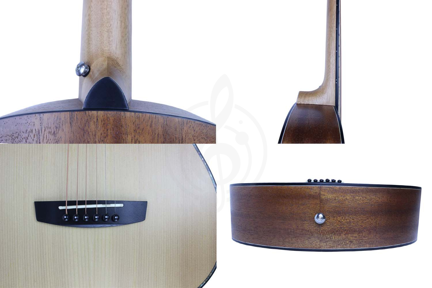 Акустическая гитара Olive AC-SM - Акустическая гитара, OLIVE AC-SM в магазине DominantaMusic - фото 2