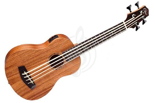 Изображение OLIVE U500B