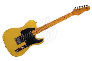 Изображение Электрогитара Telecaster Omni TE-2S NT