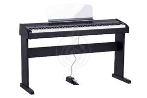 Изображение Цифровое пианино  Orla 438PIA0703 Stage Studio