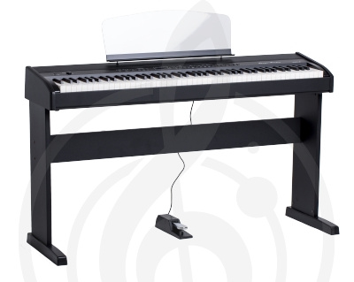 Цифровое пианино Цифровые пианино Orla Orla 438PIA0703 Stage Studio Цифровое пианино, черное, со стойкой 438PIA0703 Stage Studio - фото 1