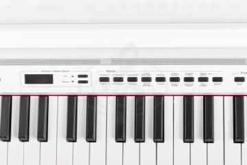 Цифровое пианино Цифровые пианино Orla Orla 438PIA0704 Stage Studio Цифровое пианино, белое, со стойкой  438PIA0704 Stage Studio - фото 4