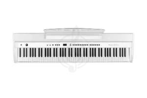 Изображение Цифровое пианино  Orla 438PIA0704 Stage Studio