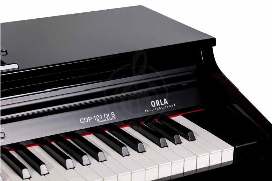 Цифровое пианино Orla CDP-101-POLISHED-BLACK - Цифровое пианино, Orla CDP-101-POLISHED-BLACK в магазине Доминанта мьюзик - фото 5