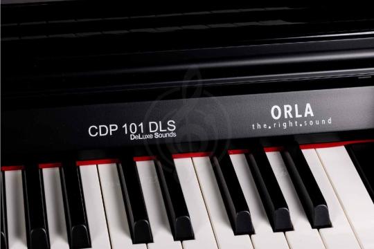 Цифровое пианино Orla CDP-101-POLISHED-BLACK - Цифровое пианино, Orla CDP-101-POLISHED-BLACK в магазине Доминанта мьюзик - фото 6