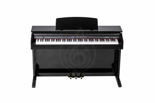 Цифровое пианино Orla CDP-101-POLISHED-BLACK - Цифровое пианино, Orla CDP-101-POLISHED-BLACK в магазине Доминанта мьюзик - фото 7