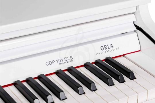 Цифровое пианино Orla CDP-101-POLISHED-WHITE - Цифровое пианино, Orla CDP-101-POLISHED-WHITE в магазине Доминанта мьюзик - фото 2