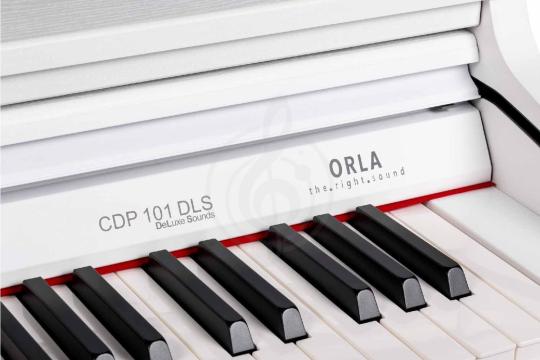 Цифровое пианино Orla CDP-101-SATIN-WHITE - Цифровое пианино, Orla CDP-101-SATIN-WHITE в магазине Доминанта мьюзик - фото 6