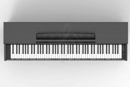 Цифровое пианино Orla CDP-2-ROSEWOOD - Цифровое пианино, Orla CDP-2-ROSEWOOD в магазине Доминанта мьюзик - фото 2