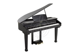 Изображение Orla Grand 110 Black - Цифровой рояль, черный