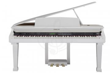 Цифровое пианино Цифровые пианино Orla Orla Grand 110 White Цифровой рояль Grand 110 White - фото 2