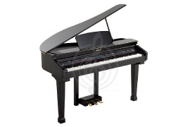 Изображение Orla Grand 120 - Цифровой рояль, с автоаккомпанементом, черный