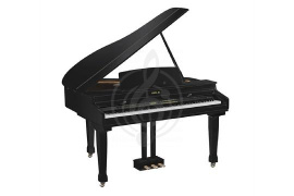 Изображение Orla Grand 310 Black - Цифровой рояль, черный