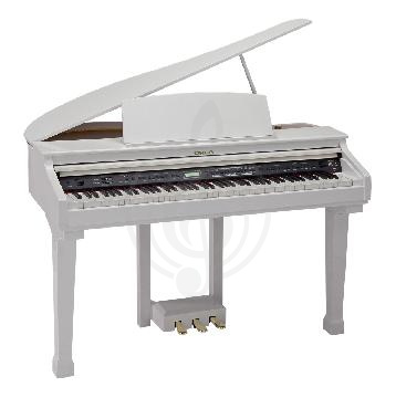 Изображение Orla Grand 310 White Цифровой рояль 88 клавиш