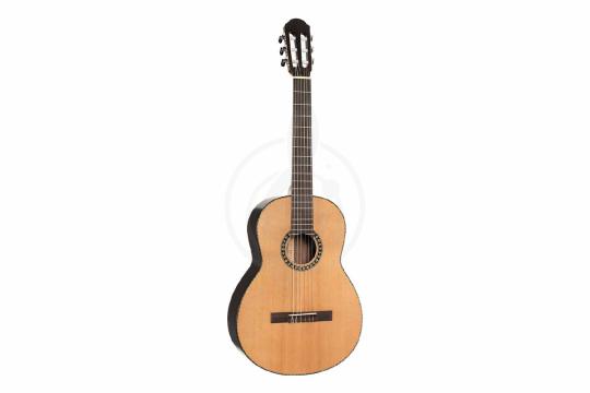 Классическая гитара 4/4 Parkwood CL40-NSG-wbag - Классическая гитара, Parkwood CL40-NSG-wbag в магазине Доминанта мьюзик - фото 3