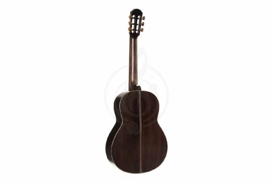 Классическая гитара 4/4 Parkwood CL400-NSG-wcase - Классическая гитара, Parkwood CL400-NSG-wcase в магазине Доминанта мьюзик - фото 2