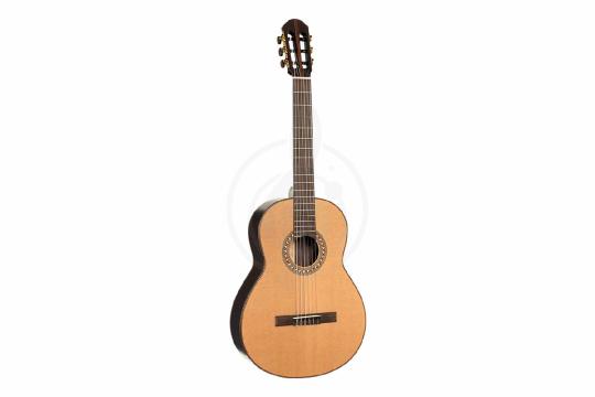 Классическая гитара 4/4 Parkwood CL400-NSG-wcase - Классическая гитара, Parkwood CL400-NSG-wcase в магазине Доминанта мьюзик - фото 3